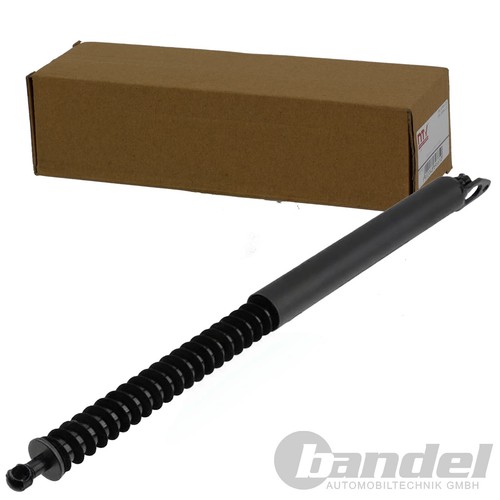 Nty gasfeder heckklappe - nty,