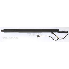 1X TRISCAN 871011311 GASFEDERN